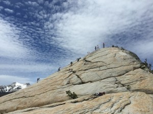 2015-05-28 at 12-05-32 - 9831